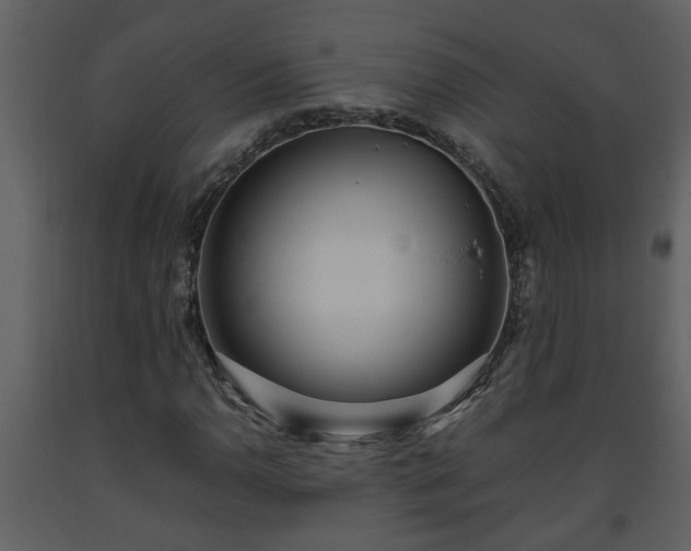 X0000093441110200710191034