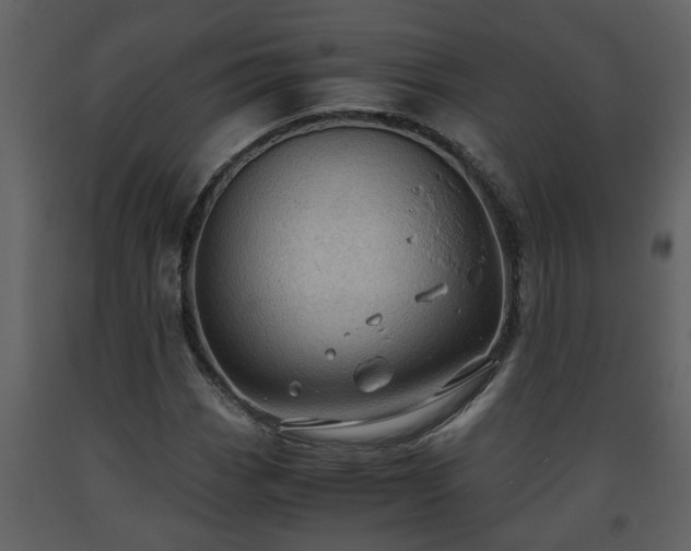 X0000093441113200710191034