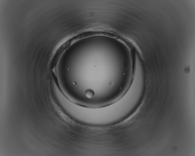 X0000093441114200710191034