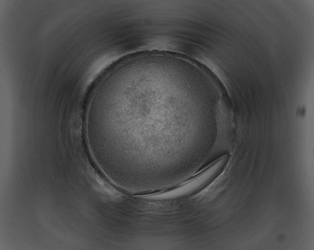 X0000093441115200710191034