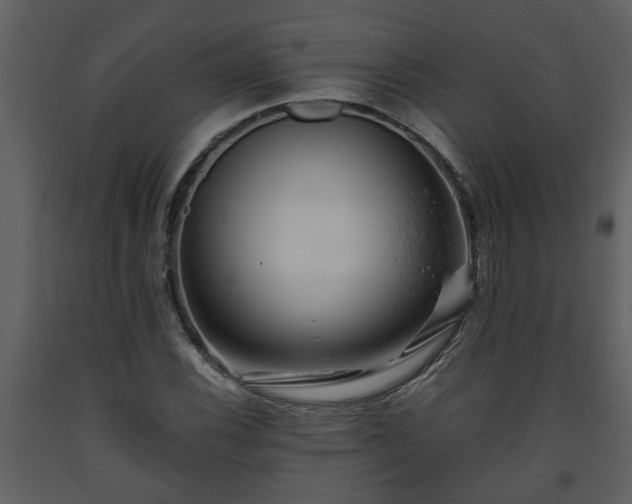 X0000093441116200710191034
