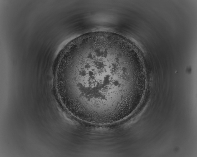 X0000093441117200710191034