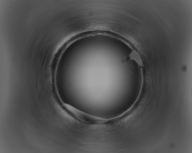 X0000093441118200710191034