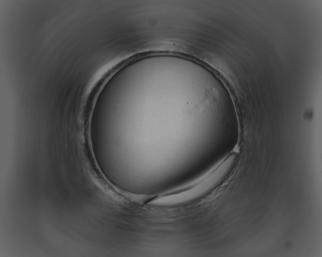 X0000093441120200710191034