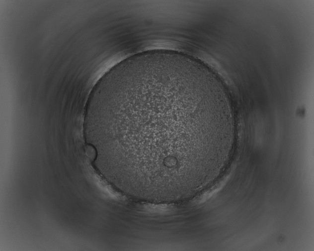 X0000093441121200710191034