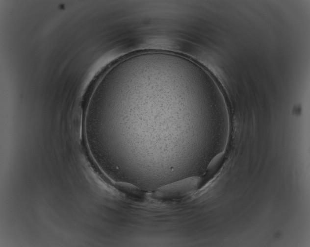 X0000093441123200710191034