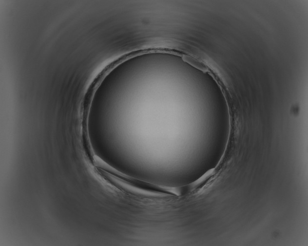 X0000093441124200710191034