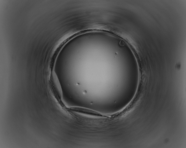 X0000093441125200710191034