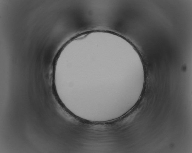 X0000093441126200710191034
