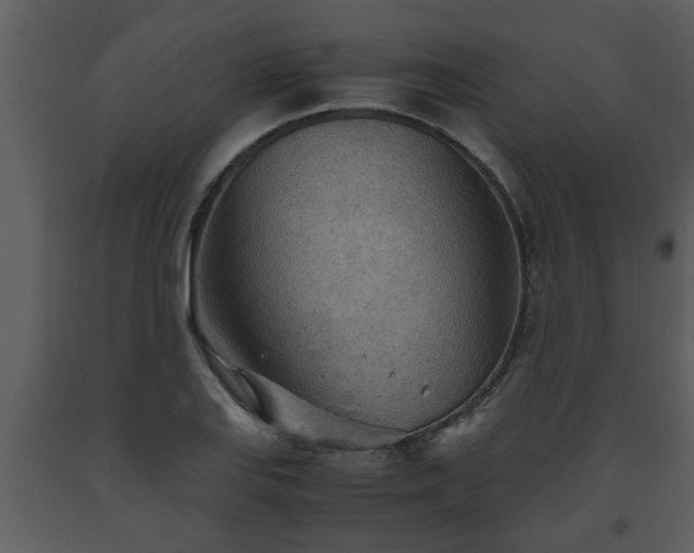X0000093441127200710191034