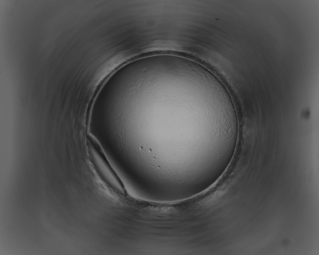X0000093441129200710191034