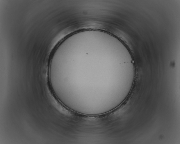X0000093441130200710191034