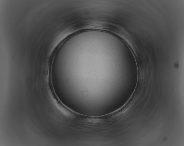 X0000093441131200710191034