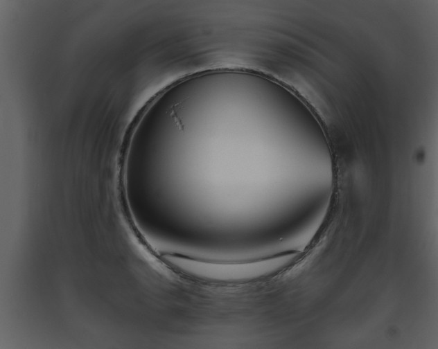 X0000093441134200710191034