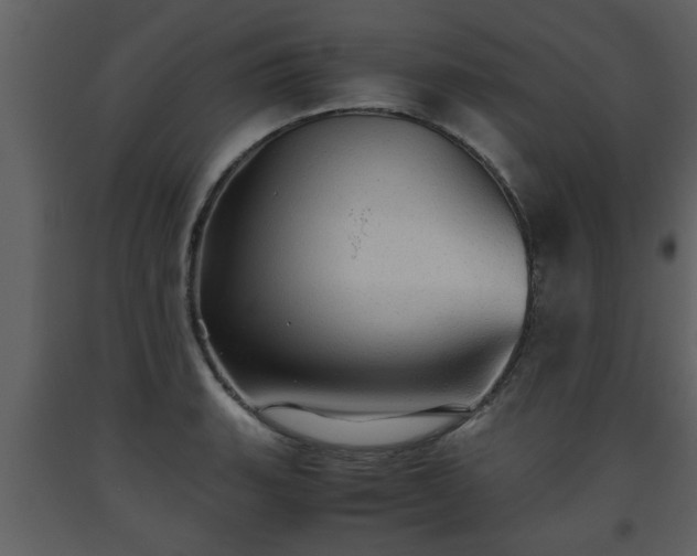 X0000093441135200710191034