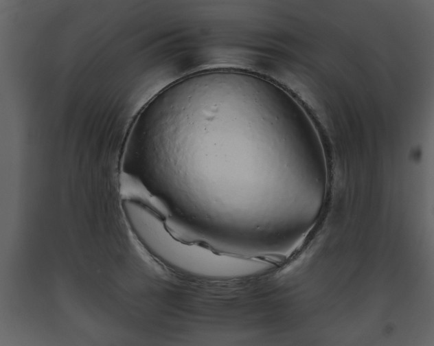 X0000093441137200710191035