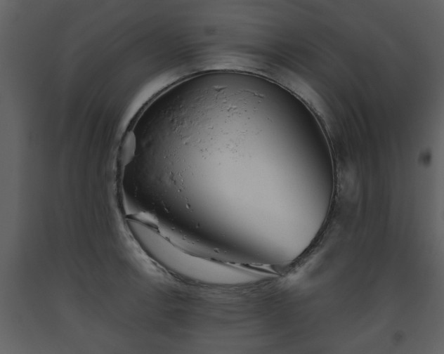 X0000093441138200710191035