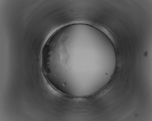 X0000093441140200710191035