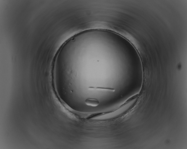 X0000093441142200710191035