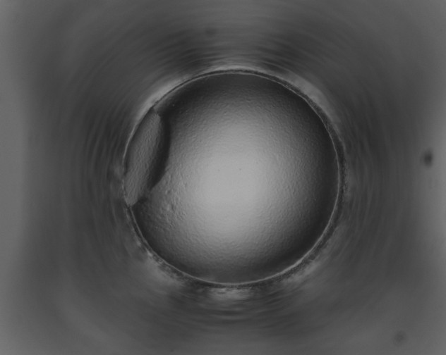 X0000093441145200710191035