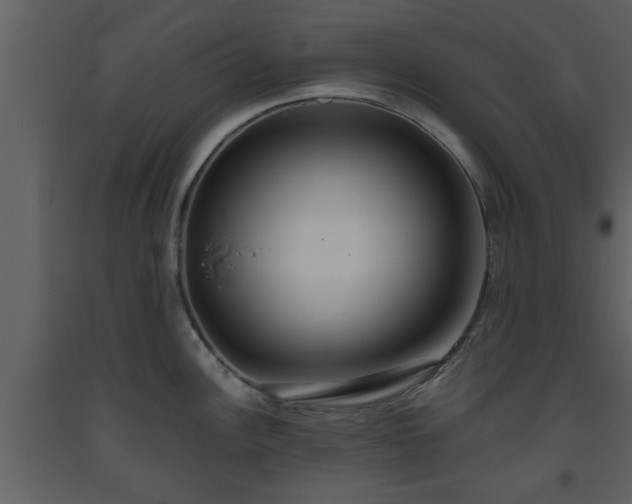 X0000093441148200710191035