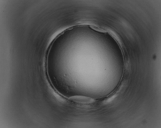X0000093441149200710191035