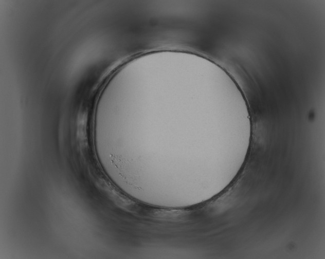 X0000093441150200710191035