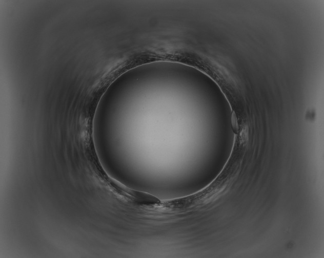 X0000093441156200710191034