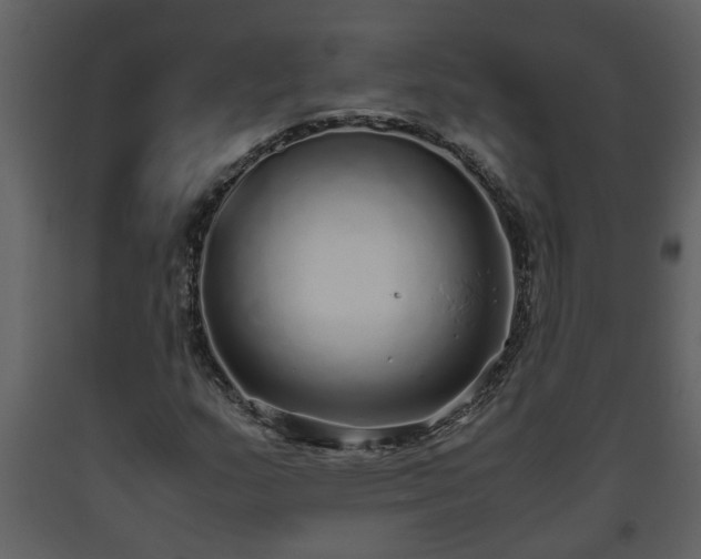X0000093441159200710191034