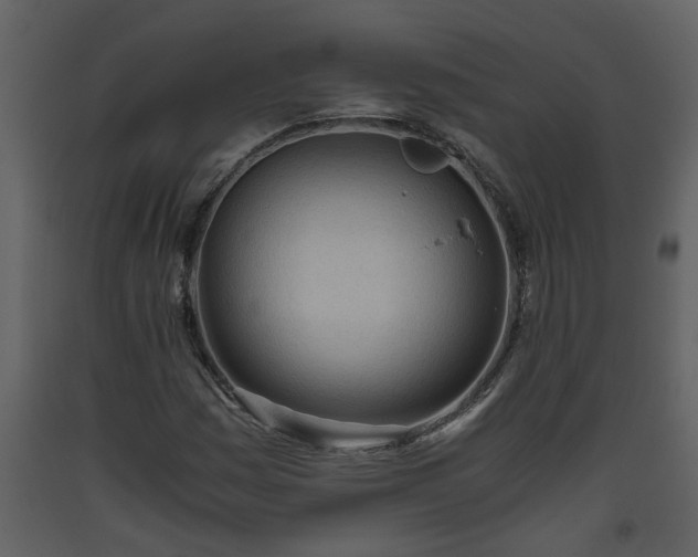 X0000093441161200710191034