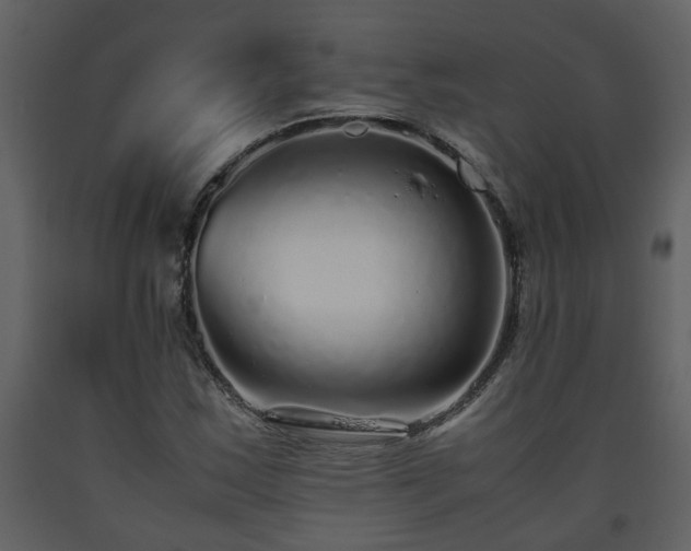 X0000093441163200710191034