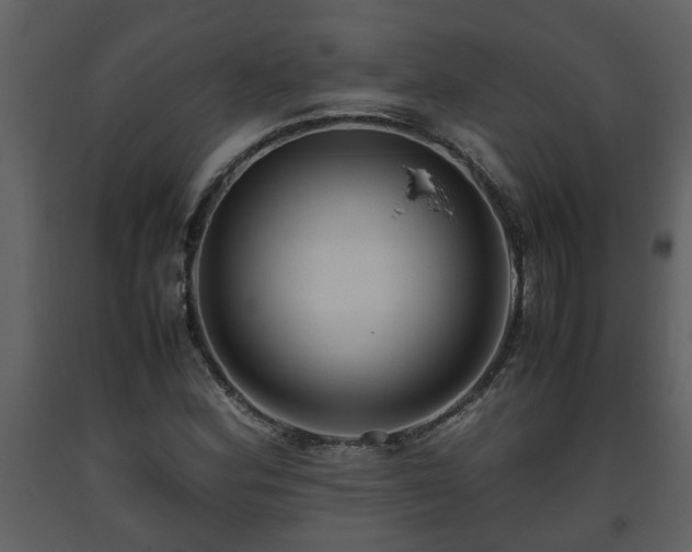 X0000093441164200710191034
