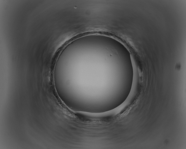 X0000093441165200710191034