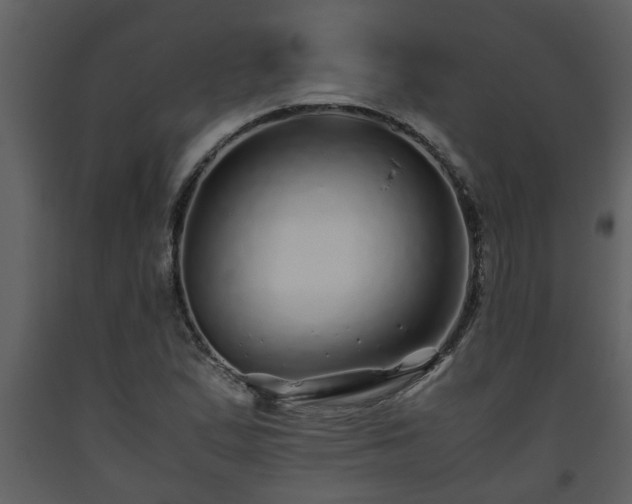 X0000093441167200710191034
