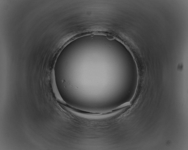X0000093441169200710191034