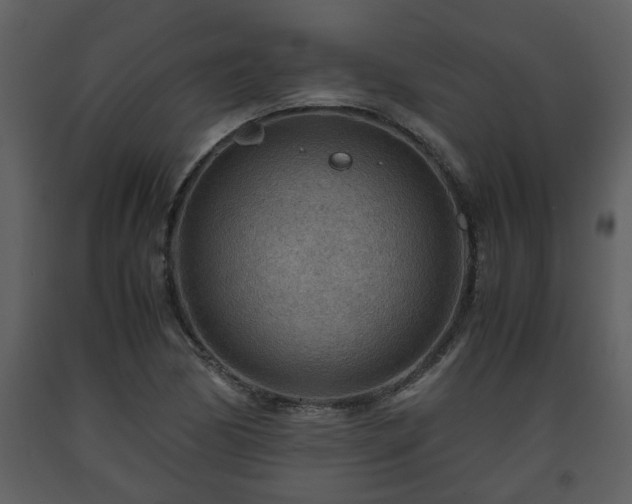 X0000093441170200710191034