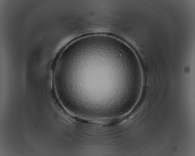 X0000093441171200710191034