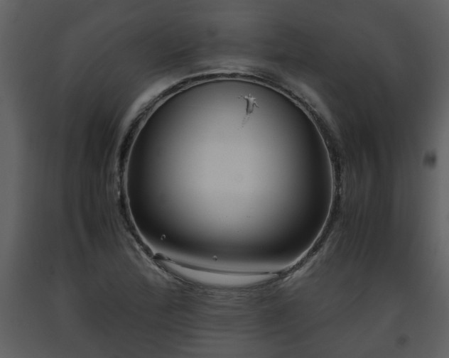 X0000093441172200710191034