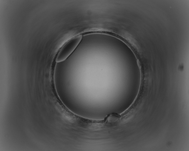 X0000093441173200710191034