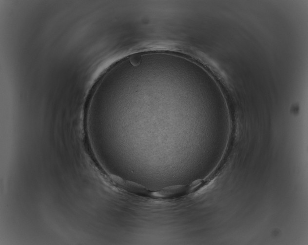 X0000093441174200710191034