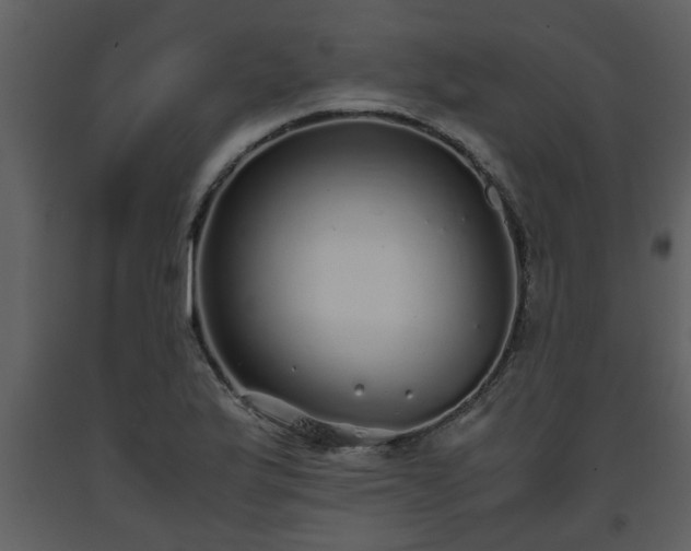 X0000093441175200710191034