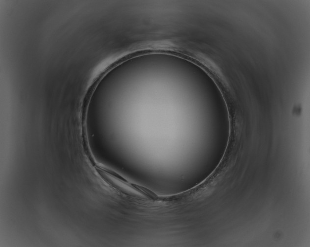 X0000093441176200710191034