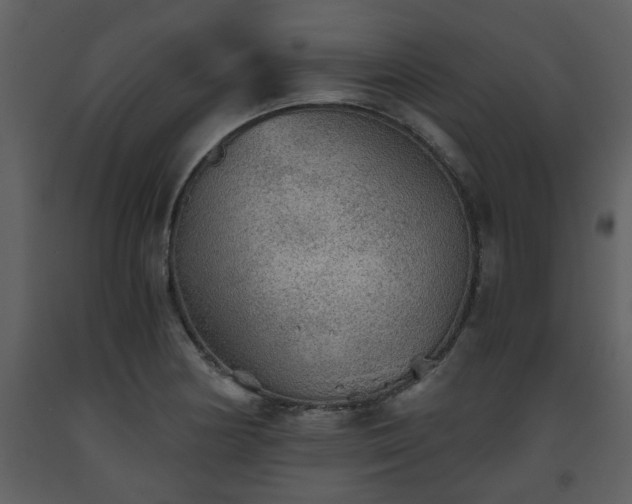 X0000093441178200710191034