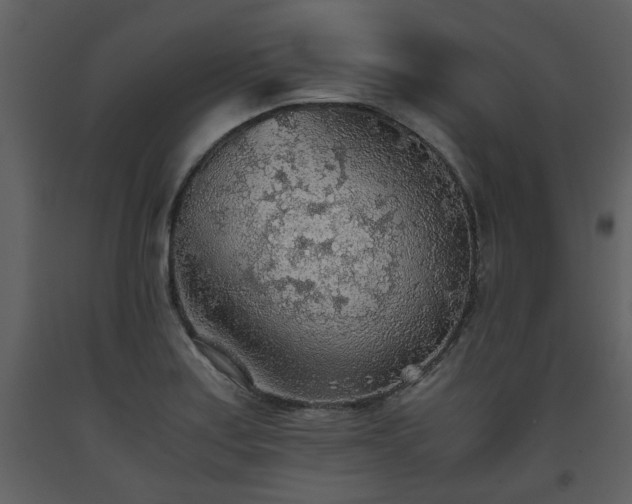 X0000093441179200710191034