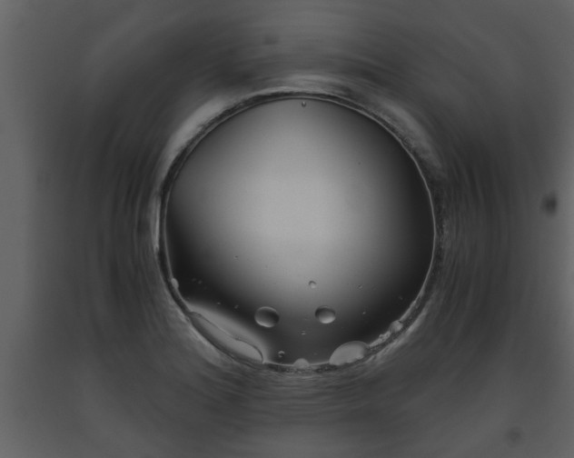 X0000093441180200710191034