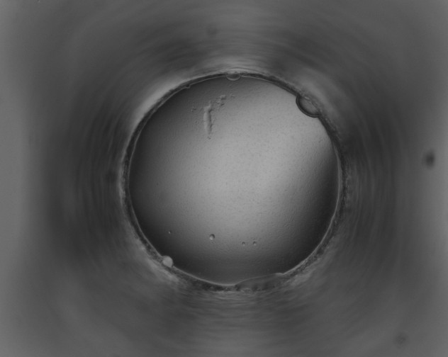 X0000093441182200710191034