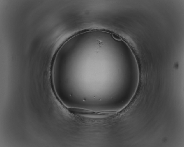 X0000093441183200710191034