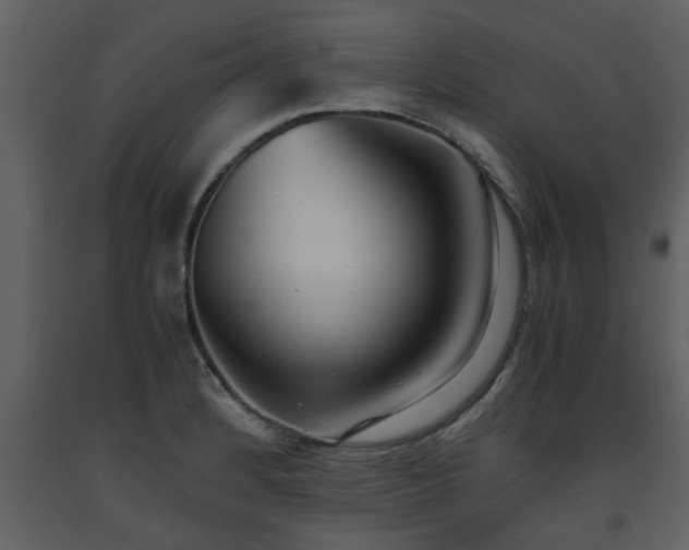 X0000093441184200710191034