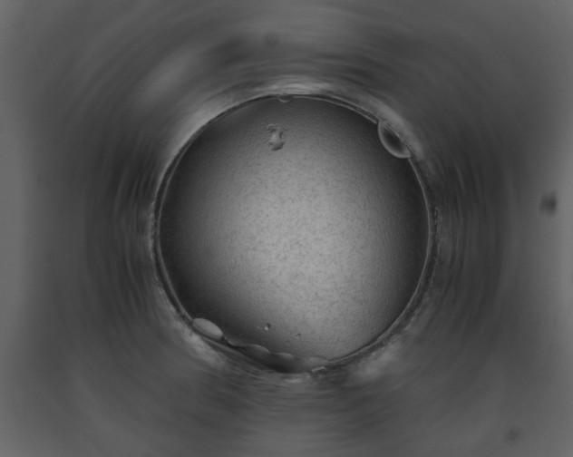 X0000093441186200710191034