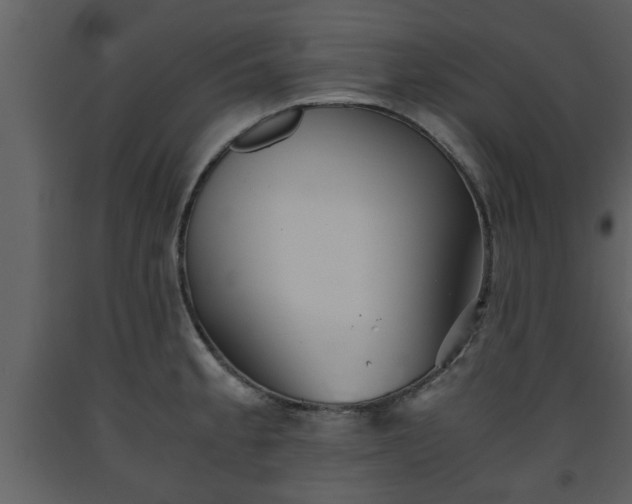 X0000093441189200710191034